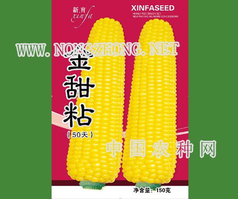 金甜粘